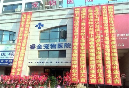 上海睿金宠物医院