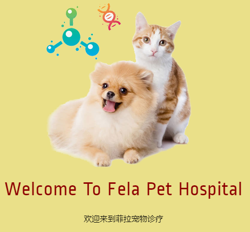 菲拉宠物诊疗（上海）
