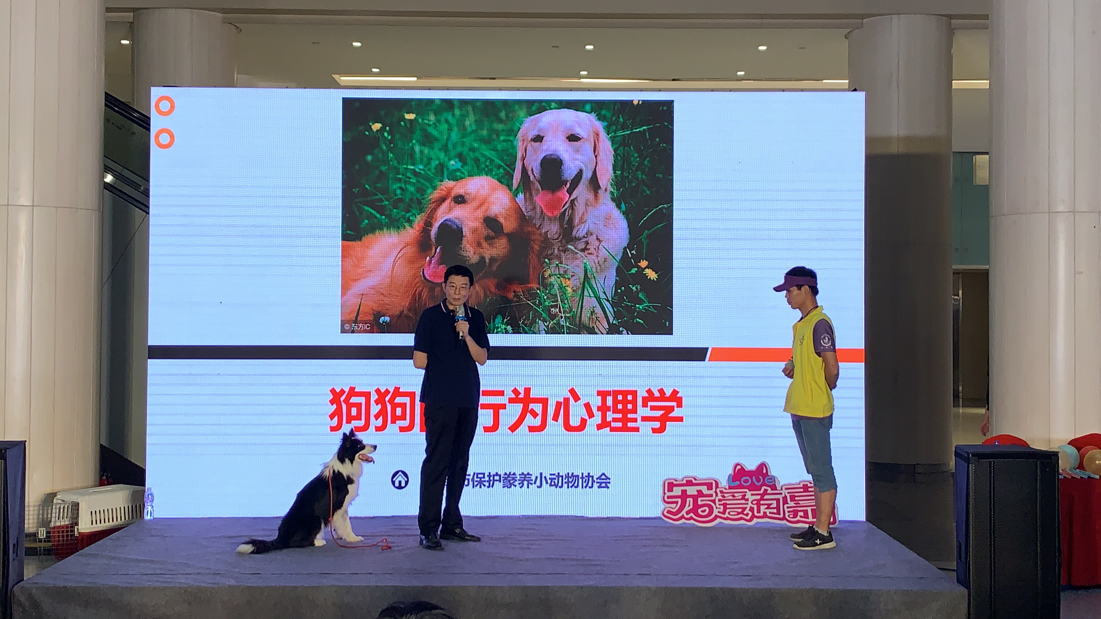 犬客 | 懒人必备技能——教狗狗关门 - 知乎